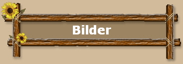 Bilder